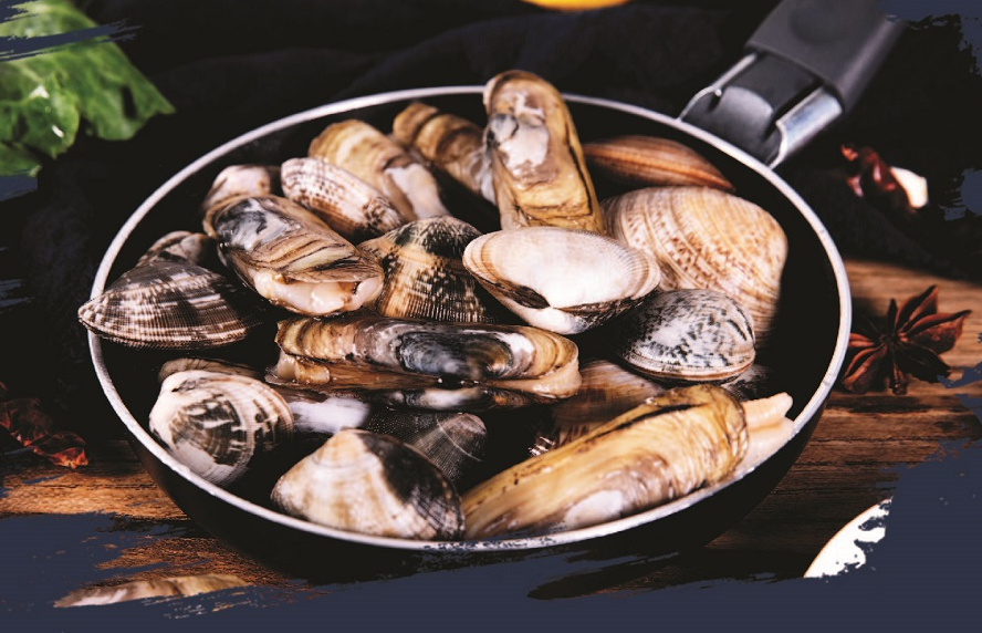 Các loại Ngao, Ngêu, Ốc Móng Tay